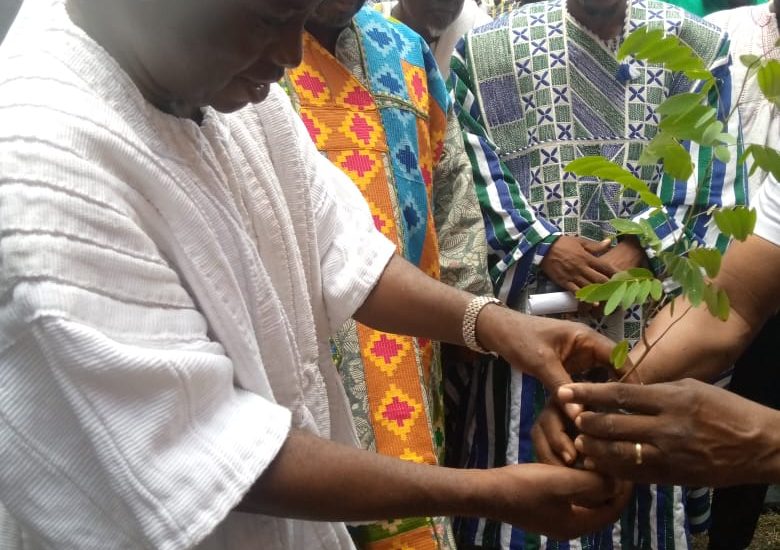 Regional Minister Recieving Trees